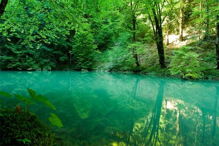 Slika /Službene fotografije Vlada RH/Zaštita okoliša/risnjak.jpg